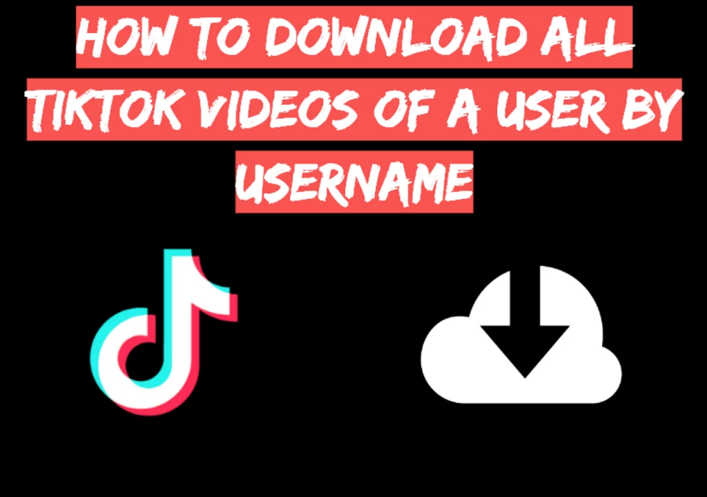 TikTok Video Downloader by Username